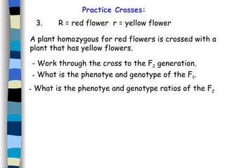 Practice Crosses: 3. R = red flower  r = yellow flower A plant homozygous for red flowers is crossed with a plant that has yellow flowers.  - Work through the cross to the F 2  generation. What is the phenotye and genotype of the F 1 . What is the phenotye and genotype ratios of the F 2 
