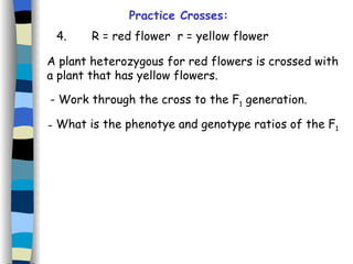 Practice Crosses: 4. R = red flower  r = yellow flower A plant heterozygous for red flowers is crossed with a plant that has yellow flowers.  - Work through the cross to the F 1  generation. What is the phenotye and genotype ratios of the F 1 