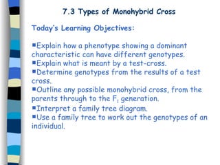 7.3 Types of Monohybrid Cross Today’s Learning Objectives: Explain how a phenotype showing a dominant characteristic can have different genotypes. Explain what is meant by a test-cross. Determine genotypes from the results of a test cross. Outline any possible monohybrid cross, from the parents through to the F 1  generation. Interpret a family tree diagram. Use a family tree to work out the genotypes of an individual. 