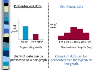 Discontinuous data Continuous data Distinct data can be  presented as a bar graph. Ranges of data can be  presented as a histogram or line graph. No. of pupils Tongue rolling ability Roller Non-roller Pea seed shoot lengths (mm) No. of seeds 1-5 6-10 11-15 16-20 21-25 