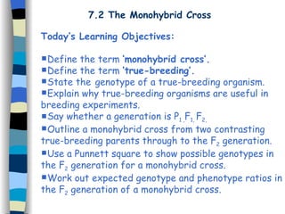 7.2 The Monohybrid Cross Today’s Learning Objectives: Define the term  ‘monohybrid cross’. Define the term  ‘true-breeding’. State the   genotype of a true-breeding organism. Explain why true-breeding organisms are useful in breeding experiments. Say whether a generation is P 1 , F 1,  F 2, Outline a monohybrid cross from two contrasting true-breeding parents through to the F 2  generation. Use a Punnett square to show possible genotypes in the F 2  generation for a monohybrid cross. Work out expected genotype and phenotype ratios in the F 2  generation of a monohybrid cross. 