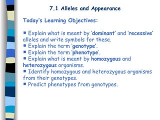 7.1 Alleles and Appearance ,[object Object],[object Object],[object Object],[object Object],[object Object],[object Object],[object Object]