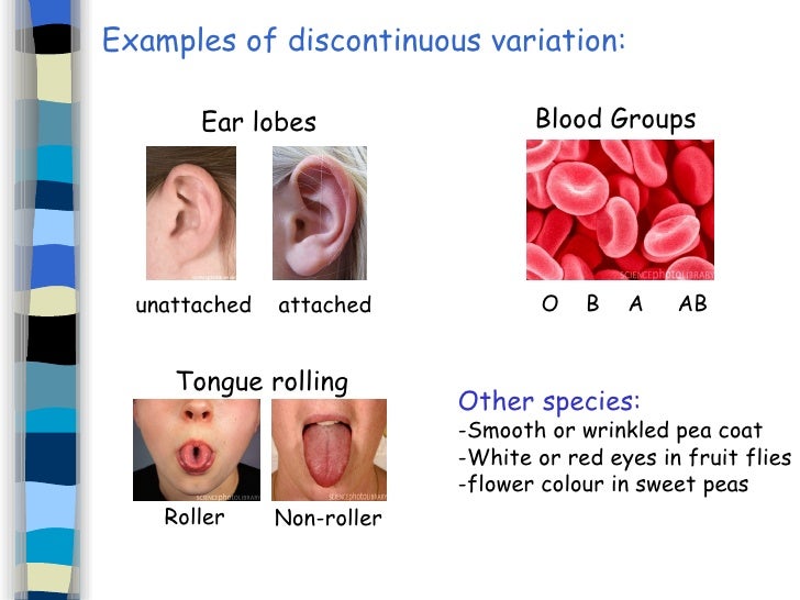 heredity and variation of inherited traits 68 resources for heredity: inheritance and variation of traits (k-5) free videos, quizzes, assessments, homework assignments, from the worlds largest k-12. heredity and variation of inherited traits 68 resources for heredity: inheritance and variation of traits (k-5) free videos, quizzes, assessments, homework assignments, from the worlds largest k-12.