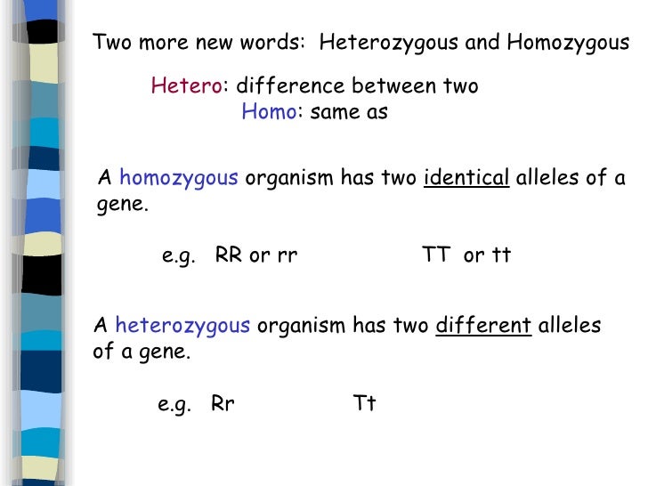 7. Genetics And Inheritance