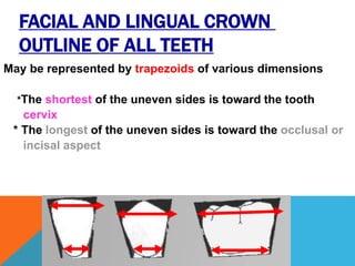 Geometric outline of teeth | PPTX