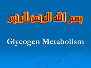 Glycogen Metabolism
 