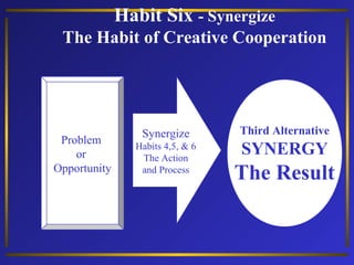 Habit Six - Synergize
The Habit of Creative Cooperation

Problem
or
Opportunity

Synergize
Habits 4,5, & 6
The Action
and Process

Third Alternative

SYNERGY

The Result

 