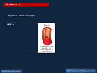 7. HEMORRAGIAS



       Cada pessoa – 5/6 litros de sangue



       ARTÉRIAS




Jorge Almeida, Prof. Adj. - ESALD           UC Primeiros Socorros – CET Protecção Civil - 2012
 