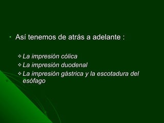 Así tenemos de atrás a adelante : La impresión cólica La impresión duodenal  La impresión gástrica y la escotadura del esófago 