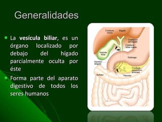 Generalidades La  vesícula biliar , es un órgano localizado por debajo del hígado parcialmente oculta por éste Forma parte del aparato digestivo de todos los seres humanos 