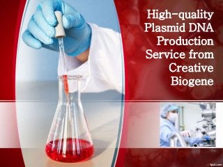 High-quality 
Plasmid DNA 
Production 
Service from 
Creative 
Biogene 
 