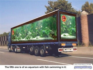 The fifth one is of an aquarium with fish swimming in it:   