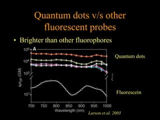 Quantum dots v/s other
         fluorescent probes
• Brighter than other fluorophores

                                       Quantum dots




                                        Fluorescein


                         Larson et al. 2003
 