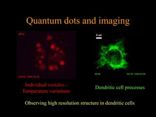 Quantum dots and imaging




 Individual vesicles -             Dendritic cell processes
Temperature variations

 Observing high resolution structure in dendritic cells
 