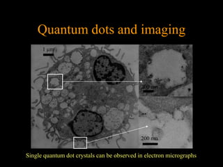 Quantum dots and imaging
      1 m




                                             200 nm




                                             200 nm


Single quantum dot crystals can be observed in electron micrographs
 