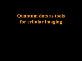 Quantum dots as tools
 for cellular imaging
 