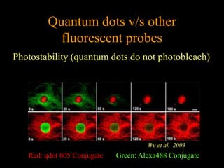 Quantum dots v/s other
           fluorescent probes
Photostability (quantum dots do not photobleach)




                                      Wu et al. 2003
   Red: qdot 605 Conjugate   Green: Alexa488 Conjugate
 