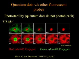 Quantum dots v/s other fluorescent
probes
Photostability (quantum dots do not photobleach)
3T3 cells

Scale bar 10 µm.

Red: qdot 605 Conjugate

Green: Alexa488 Conjugate

Wu et al. Nat. Biotechnol. 2003;21(1):41-62

 