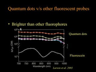 Quantum dots v/s other fluorescent probes
• Brighter than other fluorophores
Quantum dots

Fluorescein

Larson et al. 2003

 