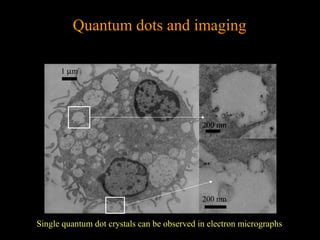 Quantum dots and imaging
1 µm

200 nm

200 nm

Single quantum dot crystals can be observed in electron micrographs

 