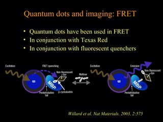 Quantum dots and imaging: FRET
• Quantum dots have been used in FRET
• In conjunction with Texas Red
• In conjunction with fluorescent quenchers

Willard et al. Nat Materials. 2003, 2:575

 