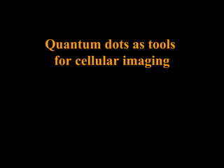 Quantum dots as tools
for cellular imaging

 