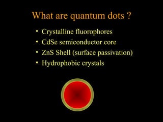 What are quantum dots ?
•
•
•
•

Crystalline fluorophores
CdSe semiconductor core
ZnS Shell (surface passivation)
Hydrophobic crystals

 