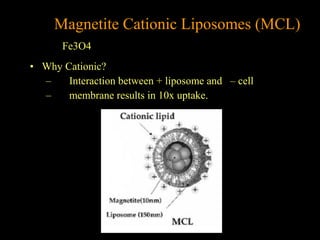 Magnetite Cationic Liposomes (MCL)
Fe3O4
• Why Cationic?
–
Interaction between + liposome and – cell
–
membrane results in 10x uptake.

 