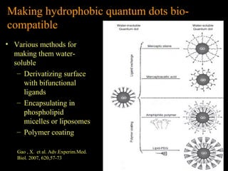 Making hydrophobic quantum dots biocompatible
• Various methods for
making them watersoluble
– Derivatizing surface
with bifunctional
ligands
– Encapsulating in
phospholipid
micelles or liposomes
– Polymer coating
Gao , X. et al. Adv.Experim.Med.
Biol. 2007, 620,57-73

 