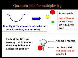 Quantum dots for multiplexing

 
