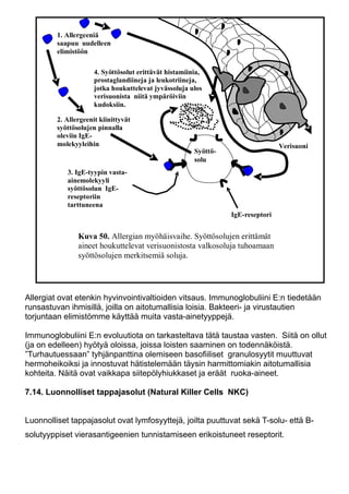 Immunologian Perusteet PDF Immunologian Perusteet PDF