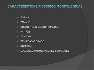    FORMA

   TAMAÑO

   COLOR (TONO MONOCROMÁTICO)

   PATRÓN

   TEXTURA

   DENSIDAD O GRADO

   SOMBRAS

   LOCALIZACIÓN (RELACIONES ESPACIALES)
 