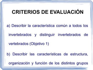 CRITERIOS DE EVALUACIÓN
a) Describir la característica común a todos los
invertebrados y distinguir invertebrados de
vertebrados (Objetivo 1)
b) Describir las características de estructura,
organización y función de los distintos grupos
 