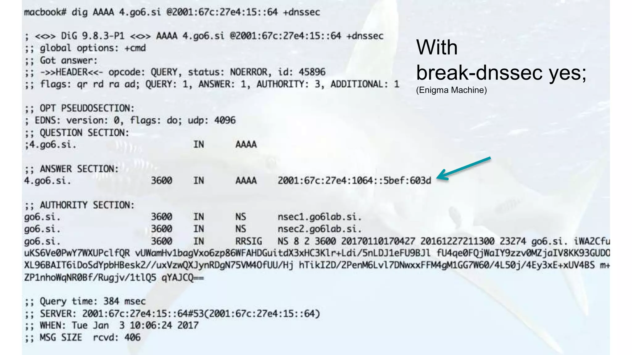 With
break-dnssec yes;
(Enigma Machine)
 