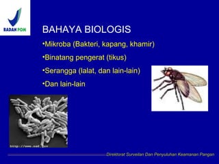 BAHAYA BIOLOGIS
•Mikroba (Bakteri, kapang, khamir)
•Binatang pengerat (tikus)
•Serangga (lalat, dan lain-lain)
•Dan lain-lain
Direktorat Surveilan Dan Penyuluhan Keamanan Pangan
 