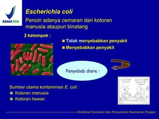 Escherichia coli
Sumber utama kontaminasi E. coli :
Kotoran manusia
Kotoran hewan
2 kelompok :
Tidak menyebabkan penyakit
Menyebabkan penyakit
Penyebab diare :
Direktorat Surveilan Dan Penyuluhan Keamanan Pangan
Penciri adanya cemaran dari kotoran
manusia ataupun binatang
 