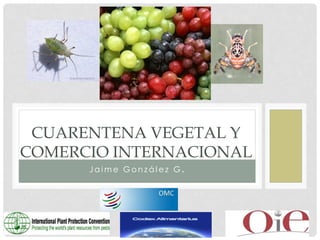 CUARENTENA VEGETAL Y
COMERCIO INTERNACIONAL
Jaime González G.

 