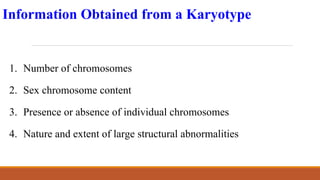 Information Obtained from a Karyotype
1. Number of chromosomes
2. Sex chromosome content
3. Presence or absence of individual chromosomes
4. Nature and extent of large structural abnormalities
 