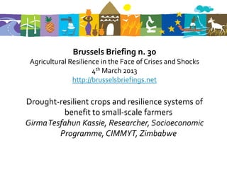 Brussels Briefing n. 30
 Agricultural Resilience in the Face of Crises and Shocks
                      4th March 2013
               http://brusselsbriefings.net

Drought-resilient crops and resilience systems of
         benefit to small-scale farmers
GirmaTesfahun Kassie, Researcher, Socioeconomic
        Programme, CIMMYT, Zimbabwe
 