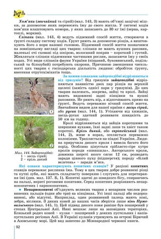 92
Õîì’ÿêè (çâè÷àéíèé òà ñіðèé) (ìàë. 143, 3) ìàþòü îá’єìíі çàùі÷íі ìіø-
êè, çà äîïîìîãîþ ÿêèõ ïåðåíîñÿòü їæó äî ñâîãî æèòëà. Ó ñèñòåìі õîäіâ
õîì’ÿêè âëàøòîâóþòü êîìîðè, ó ÿêèõ çàïàñàþòü äî 30 êã їæі (çåðíà, êàð-
òîïëі, ìîðêâè).
Ñëіïàêè (ìàë. 143, 4) âåäóòü ïіäçåìíèé ñïîñіá æèòòÿ, ñòâîðþþ÷è â
ґðóíòі ñêëàäíó ñèñòåìó õîäіâ. Ґðóíò ðèþòü çà äîïîìîãîþ ðіçöіâ, à âèøòîâ-
( )
õóþòü éîãî ç íîðè íàçîâíі ãîëîâîþ. Ïіäçåìíèé ñïîñіá æèòòÿ ïîçíà÷èâñÿ
íà çîâíіøíüîìó âèãëÿäі öèõ òâàðèí: ñëіïàêè íå ìàþòü âóøíèõ ðàêîâèí,
ìàëåíüêі î÷і ñõîâàíі ïіä øêіðîþ, âîëîñÿíèé ïîêðèâ – êîðîòêèé і ãóñòèé.
Æèâëÿòüñÿ ñëіïàêè ïіäçåìíèìè ÷àñòèíàìè ðîñëèí, çàïàñàþ÷è їæó ó ñâîїõ
õîäàõ. Óñі âèäè ñëіïàêіâ ôàóíè Óêðàїíè (ïіùàíèé, áóêîâèíñüêèé, ïîäіëü-
ñüêèé òà áіëîçóáèé) ïîòðåáóþòü îõîðîíè. Ïðè÷èíîþ çìåíøåííÿ ÷èñåëü-
íîñòі öèõ òâàðèí є ãîñïîäàðñüêà äіÿëüíіñòü ëþäèíè: îáðîáіòîê ґðóíòó,
âíåñåííÿ îòðóòîõіìіêàòіâ òîùî.
Çà ÿêèìè îçíàêàìè çàéöåïîäіáíі âіäðіçíÿþòüñÿ
âіä ãðèçóíіâ? Âіä ãðèçóíіâ çàéöåïîäіáíі âіäðіç-
íÿþòüñÿ íàÿâíіñòþ äâîõ ïàð ðіçöіâ íà âåðõíіé
ùåëåïі (çàìіñòü îäíієї ïàðè ó ãðèçóíіâ). Äî öèõ
òâàðèí íàëåæàòü, çîêðåìà, çàéöі òà êðîëі. Çàéöі
ìàþòü âèäîâæåíі çàäíі êіíöіâêè òà âóøíі
ðàêîâèíè. Íå ðèþòü íіð, à âіäïî÷èâàþòü ïðÿìî íà
ґðóíòі. Âåäóòü ïåðåâàæíî íі÷íèé ñïîñіá æèòòÿ.
Çâè÷àéíèì âèäîì äëÿ íàøîї êðàїíè є çàєöü ñіðèé,
àáî ðóñàê (ìàë. 144, 1). Óòіêàþ÷è âіä õèæàêіâ,
çàєöü-ðóñàê çäàòíèé ðîçâèâàòè øâèäêіñòü äî
50 êì íà ãîäèíó.
Êðîëі âіäðіçíÿþòüñÿ âіä çàéöіâ êîðîòøèìè òà
øèðøèìè âóõàìè, їõíі çàäíі ëàïè òà õâіñò òàêîæ
êîðîòøі. Êðіëü äèêèé, àáî єâðîïåéñüêèé (ìàë.
144, 2), æèâå â íîðàõ, îñåëÿєòüñÿ ïåðåâàæíî
êîëîíіÿìè. Òðàïëÿєòüñÿ íà ïіâäíі Óêðàїíè. Ëþäè-
íà ïðèðó÷èëà äèêîãî êðîëÿ і âèâåëà áàãàòî éîãî
ïîðіä. Îñîáëèâî öіíóєòüñÿ ñðіáëÿñòî-ñіðå õóòðî
êðîëіâ ïîðîäè «øèíøèëà». Àíãîðñüêîãî êðîëÿ,
äîâæèíà øåðñòі ÿêîãî ñÿãàє 12 ñì, ðîçâîäÿòü
çàðàäè öіííîãî ïóõó (ïіäøåðñòÿ); ïîðîäó «áіëèé
âåëåòåíü» – çàðàäè ì’ÿñà.
ßêі îçíàêè õàðàêòåðèçóþòü êîïèòíèõ ññàâöіâ? Ó ðàöіîíі êîïèòíèõ
ññàâöіâ ïåðåâàæàє ðîñëèííà їæà. Òîìó â öèõ òâàðèí äîáðå ðîçâèíåíі ðіçöі
òà êóòíі çóáè, ÿêі ìàþòü ñêëàä÷àñòó ïîâåðõíþ і ñëóãóþòü äëÿ ïåðåòèðàí-
íÿ їæі (äèâ. ìàë. 137. Á, 1). Êîïèòíі çäàòíі äî øâèäêîãî áіãó, ñïèðàþ÷èñü
íà ïàëüöі, âêðèòі ðîãîâèìè êîïèòàìè. Ñåðåä êîïèòíèõ ðîçðіçíÿþòü íåïàð-
íîêîïèòíèõ і ïàðíîêîïèòíèõ.
 Íåïàðíîêîïèòíі îá’єäíóþòü âåëèêèõ òâàðèí ç íåïàðíèì ÷èñëîì ðîç-
âèíåíèõ ïàëüöіâ (îäèí àáî òðè) íà êіíöіâêàõ. Óñі іíøі ïàëüöі àáî íåäîðîç-
âèíåíі, àáî âіäñóòíі. Íàïðèêëàä, îäèí ðîçâèíåíèé ïàëåöü ìàþòü êîíі,
çåáðè, âіñëþêè. Ç äèêèõ êîíåé äî íàøèõ ÷àñіâ çáåðіãñÿ ëèøå êіíü Ïðæå-
âàëüñüêîãî (ìàë. 145, 1). Öåé ïіäâèä äèêîãî êîíÿ ðàíіøå áóâ ïîøèðåíèé ó
ñòåïàõ Öåíòðàëüíîї Àçії. Íèíі ìåøêàє ëèøå íà çàïîâіäíèõ òåðèòîðіÿõ.
Áëèçüêèé ðîäè÷ êîíåé – êóëàí – ïîøèðåíèé ó äåÿêèõ ïóñòåëüíèõ і íàïіâ-
ïóñòåëüíèõ ðåãіîíàõ Àçії. Â Óêðàїíі êóëàíіâ óòðèìóþòü íà îñòðîâі Áіðþ÷èé
â Àçîâñüêîìó ìîðі. Öåé âèä çàíåñåíî äî Ìіæíàðîäíîї ÷åðâîíîї êíèãè.
Ìàë. 144. Çàéöåïîäіáíі:
1 – çàєöü ñіðèé;
2 – êðіëü äèêèé
1
2
 