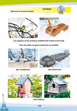 118
Lexique
Apprends le nouveau lexique.
Les oiseaux et les animaux souffrent de la faim et du froid.
P
our les aider on peut construire ou installer
des mangeoires des abreuvoirs
				
des nichoirs
 
