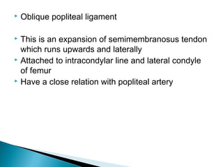  Oblique popliteal ligament
 This is an expansion of semimembranosus tendon
which runs upwards and laterally
 Attached to intracondylar line and lateral condyle
of femur
 Have a close relation with popliteal artery
 