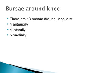  There are 13 bursae around knee joint
 4 anteriorly
 4 laterally
 5 medially
 