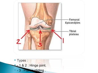  Types :
 - 1 & 2 : Hinge joint.
 - 3 : Planar gliding .
 