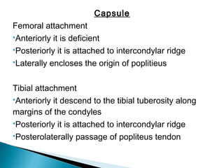 Capsule
Femoral attachment
Anteriorly it is deficient
Posteriorly it is attached to intercondylar ridge
Laterally encloses the origin of poplitieus
Tibial attachment
Anteriorly it descend to the tibial tuberosity along
margins of the condyles
Posteriorly it is attached to intercondylar ridge
Posterolaterally passage of popliteus tendon
 