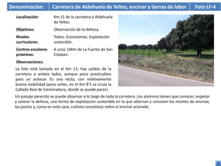 Denominación:          Carretera de Aldehuela de Yeltes, encinar y tierras de labor                     Foto LF-4
  Localización:         Km 11 de la carretera a Aldehuela
                        de Yeltes.
  Objetivos:            Observación de la dehesa.
  Niveles               Todos: Ecosistemas. Explotación
  curriculares:         sostenible.
  Centros escolares     A unos 14Km de La Fuente de San
  próximos:             Esteban.
  Observaciones:
  La foto está tomada en el Km 11; hay salidas de la
  carretera a ambos lados, aunque poco practicables
  para un autocar. Es una recta, con relativamente
  buena visibilidad (poco antes, en el Km 8’5 se cruza la
  Cañada Real de Extremadura, donde se puede parar).
  Un paisaje parecido se puede observar a lo largo de toda la carretera. Los alumnos tienen que conocer, respetar
  y valorar la dehesa, una forma de explotación sostenible en la que alternan y conviven los montes de encinas,
  los pastos y, como en este caso, cultivos cerealistas sobre el encinar aclarado.
 