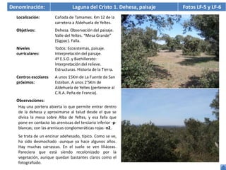 Denominación:                     Laguna del Cristo 1. Dehesa, paisaje   Fotos LF-5 y LF-6
  Localización:         Cañada de Tamames. Km 12 de la
                        carretera a Aldehuela de Yeltes.
  Objetivos:            Dehesa. Observación del paisaje.
                        Valle del Yeltes. “Mesa Grande”
                        (Sigpac). Falla.
  Niveles               Todos: Ecosistemas, paisaje.
  curriculares:         Interpretación del paisaje.
                        4º E.S.O. y Bachillerato:
                        Interpretación del relieve.
                        Estructuras. Historia de la Tierra.
  Centros escolares     A unos 15Km de La Fuente de San
  próximos:             Esteban. A unos 2’5Km de
                        Aldehuela de Yeltes (pertenece al
                        C.R.A. Peña de Francia).
  Observaciones:
   Hay una portera abierta lo que permite entrar dentro
   de la dehesa y aproximarse al talud desde el que se
   divisa la mesa sobre Alba de Yeltes, y esa falla que
   pone en contacto las areniscas del terciario inferior -p-
   blancas; con las areniscas conglomeráticas rojas -n2.
   Se trata de un encinar adehesado, típico. Como se ve,
   ha sido desmochado -aunque ya hace algunos años.
   Hay muchas carrascas. En el suelo se ven liliáceas.
   Pareciera que está siendo recolonizado por la
   vegetación, aunque quedan bastantes claros como el
   fotografiado.
 