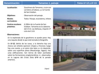 Denominación:                             Tamames 1, paisaje   Fotos LF-12 y LF-13
  Localización:        Gasolinera de Tamames, cruce con
                       carretera al Cabaco, y a la Fuente
                       de San Esteban.
  Objetivos:           Observación del paisaje.
  Niveles              Todos: Paisaje, ecosistema, relieve.
  curriculares:
  Centros escolares    A 20Km de La Fuente de San
  próximos:            Esteban. Tamames es la cabecera
                       del C.R.A. Las Dehesas, imparte 1º
                       ciclo de E.S.O.
  Observaciones:
   En la explanada de la gasolinera se puede parar. Hay
   una raqueta desde la que está tomada la fotografía.
   En LF-12, detrás de las casas, a la derecha hay una
   charca con árboles (parecen chopos y fresnos); luego
   hay una cuesta, y un poco más lejos y a la izquierda,
   sobre una superficie plana (Navaluenga, Sigpac), hay
   unas edificaciones. Son tierras de labor asentadas
   sobre las formaciones conglomeráticas -r-, observadas
   en la Laguna del Cristo (foto LF-9 de la parada
   anterior).



                                                  (sigue)
 