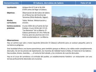 Denominación:                        El Cabaco, derrubios de ladera                                 Foto LF-16
  Localización:       Antiguo Km 67.5 de la SA-204.
                      0’5Km antes de llegar al Cabaco.
  Objetivos:          Observación de derrubios de ladera
                      en el flanco Sur del Sinclinal de
                      Tamames (Peña Redonda, Sigpac).
  Niveles             Todos: Relieve. Meteorización y
  curriculares:       erosión.
  Centros escolares   A unos 32Km de La Fuente de San
  próximos:           Esteban. A uno 10 Km del I.E.S.O.
                      “Las Batuecas” de La Alberca. El
                      Cabaco pertenece al C.R.A. Peña de
                      Francia; pero los alumnos de E.S.O.
                      están escolarizados en La Alberca.
  Observaciones:
  Hay un camino que sale a mano izquierda (dirección El Cabaco) suficiente para un autocar pequeño; pero la
  carretera es peligrosa.
  Esta localidad ofrece una buena panorámica; pero también porque es Marzo y los robles están completamente
  desnudos. Se ven los pinares de replantación, las manchas de robledal hasta la falda, el matorral en las laderas -
  hay escobas, brezos, lavandas,...-, el canturral derrubiado, y los crestones de cuarcita desnudos.
  Hay en el cruce de carreteras a la entrada del pueblo, un establecimiento hotelero -un restaurante- con una
  terraza profusamente decorada con crucianas.
 