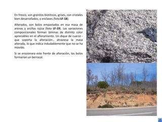 En fresco, son granitos biotíticos, grises, con cristales
bien desarrollados, y enclaves (foto LF-18).
Alterados, son bolos empastados en esa masa de
arenas y arcillas rojiza (foto LF-19). Las variaciones
composicionales forman láminas de distinto color
apreciables en el afloramiento. Un dique de cuarzo -
que soporta la alteración-, atraviesa la masa
alterada, lo que indica indudablemente que no se ha
movido.
Si se erosionara este frente de alteración, los bolos
formarían un berrocal.
 